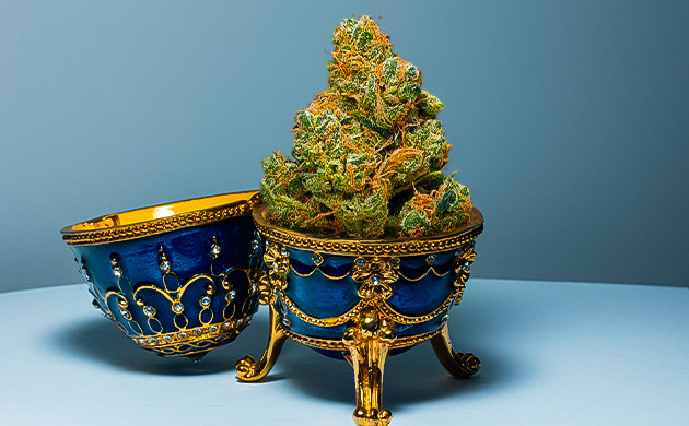 Контейнер для каннабиса: потребности и условия хранения