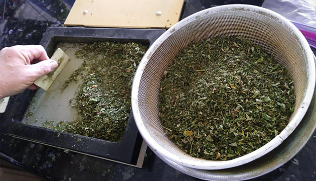 Просеивание шишек