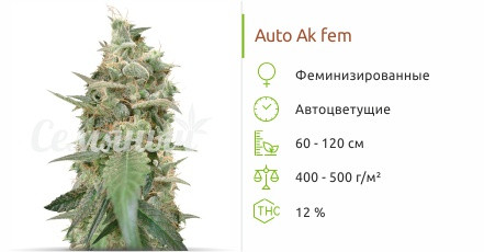 Auto Ak от сидбанка Семяныч