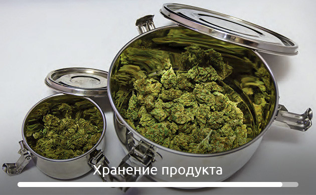 Соцветия в контейнерах из нержавеющей стали