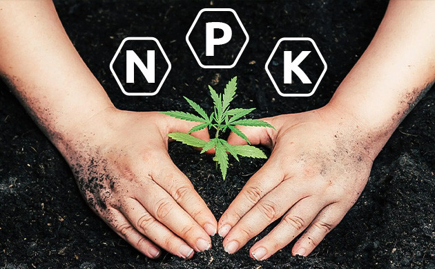 Как приготовить органические удобрения