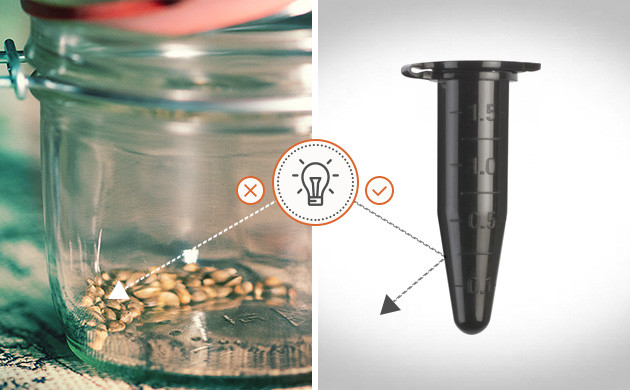 Полная темнота при хранении семян