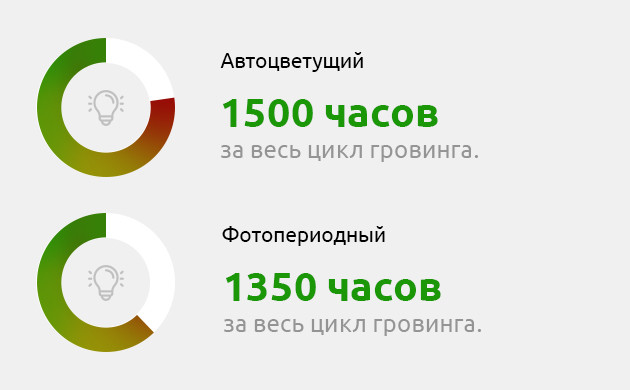 Расход энергии фото и авто сортов