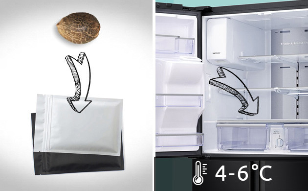 Рекомендуемая температура хранения семян 6 градусов