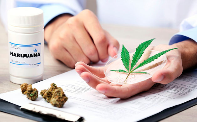 Доказательная база эффективности медицинской конопли