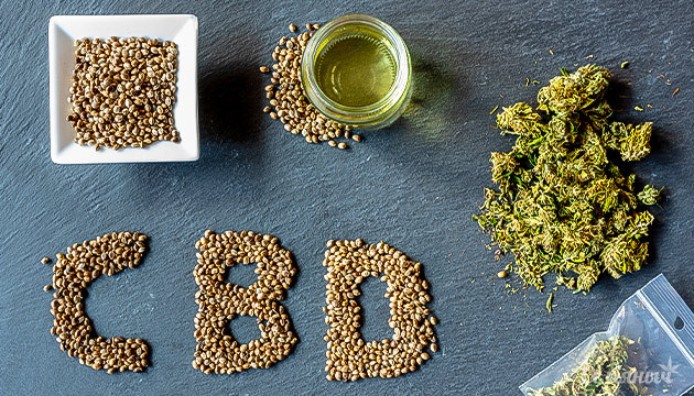 Каннабидиол, или КБД, что нужно знать