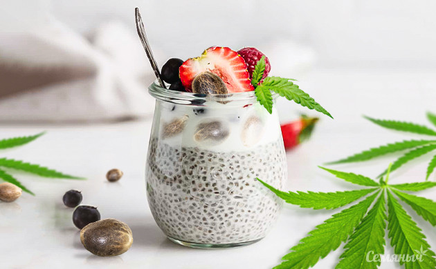 Рецепт пудинга с семенами чиа и конопляным смузи