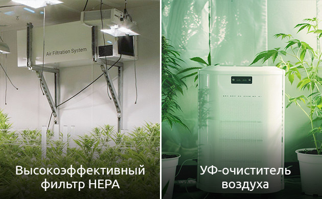 Роль ультрафиолетовых очистителей воздуха как дополнительной меры