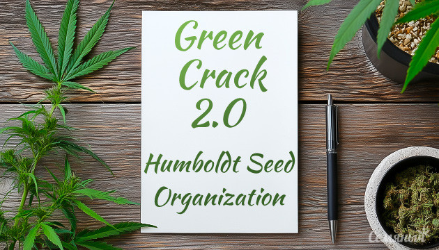 Гроурепорт сорта Green Crack 2.0 от Humboldt Seed Organization
