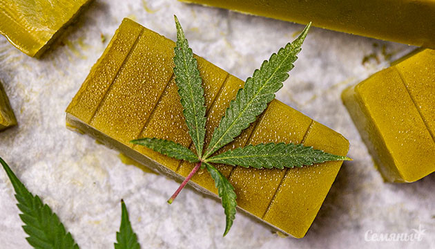 Масло из конопли