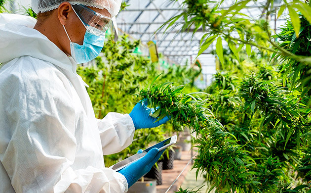 Хорошая санитарная обработка