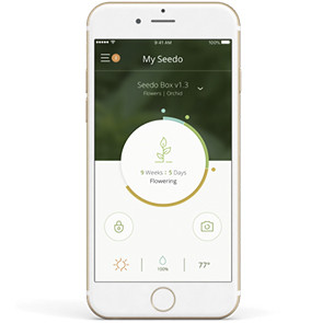 Приложение Seedo
