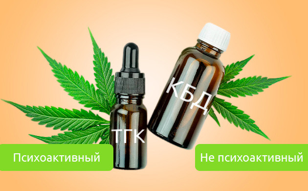Психоактивный ТГК и не психоактивный КБД