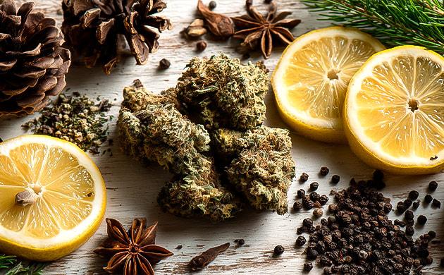 Терпеновый профиль Candy Kush