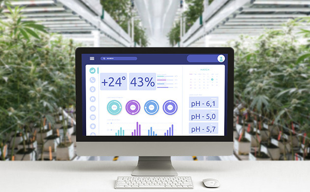 факторы управления ростом каннабиса