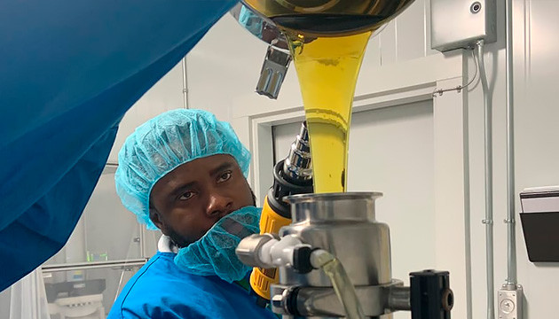 Экстракция каннабиса