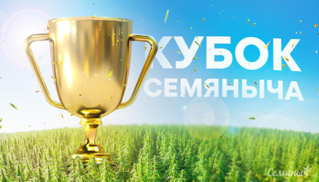 Летний Кубок Семяныча