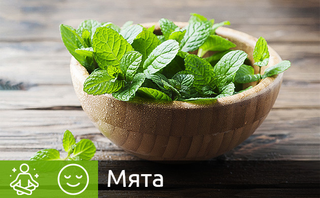 Мята и расслабляющий эффект