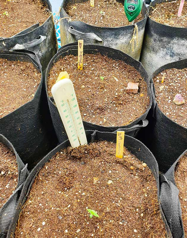 Девять больших тканевых горшков в гроубоксе