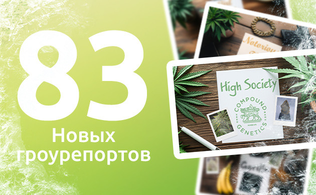 Полезные дневники для гроверов