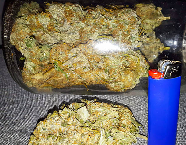 Готовый урожай в стеклянной банке