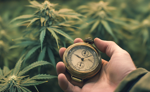 Как оптимизировать время на гров