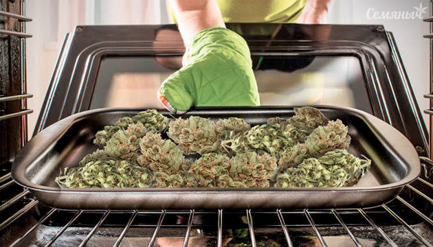 Популярные методы сушки марихуаны