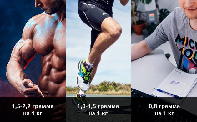 Величина протеина в граммах на килограмм веса