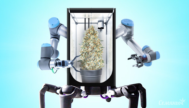 Автоматизированный бокс