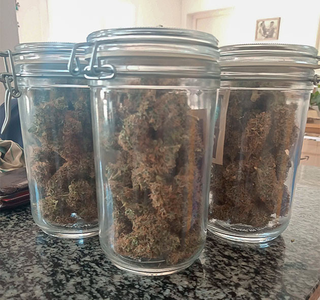 Харвест Bruce Banner #3