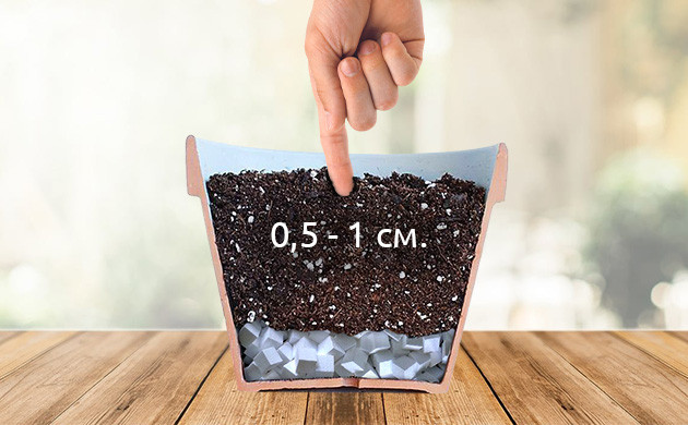 Ямка глубиной до 1 см