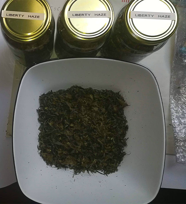 Сухие соцветия в банках