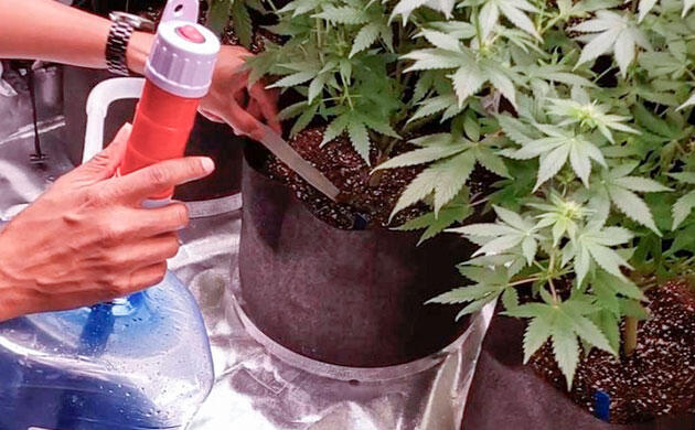 Оптимизация замены раствора и обслуживания системы Насос для перекачки раствора