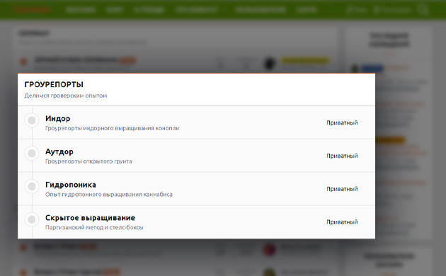 Раздел форума семяныча – Гроурепорты