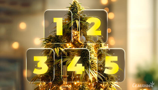 Новогодние промокоды Семяныча