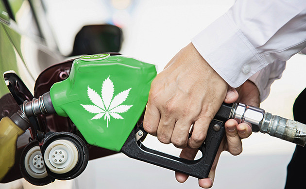 Толиво из конопли