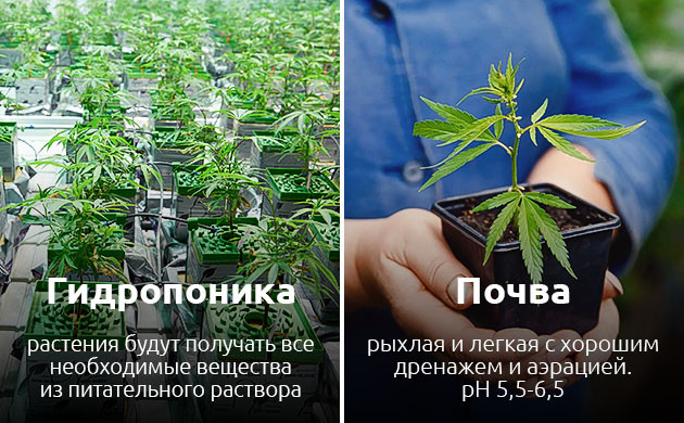 Гидропонная установка для повышения урожайности автоцветов