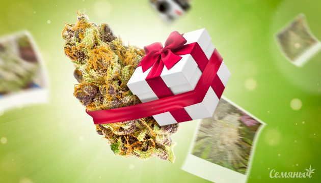 Акция Top photo