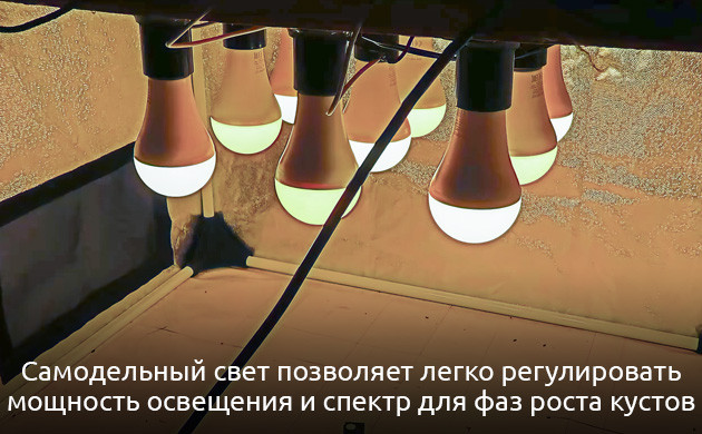 Экономный вариант освещения для гроубокса