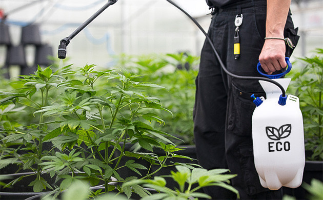 Использование органики для выращивания