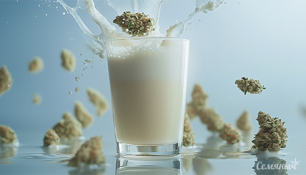 Рецепт канна-молока