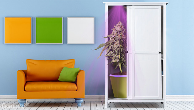 Как безопасно разместить гроубокс в квартире