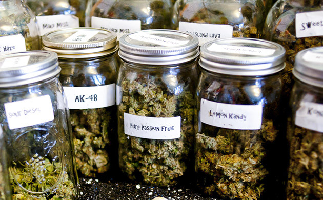 Подписанные банки с шишками разных сортов