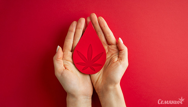 Требования к донору, потребителю каннабиса