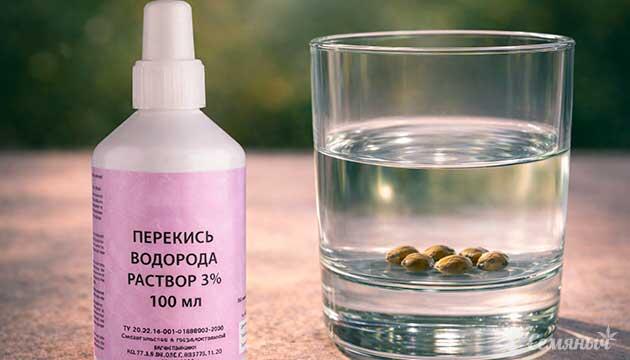 Проращивание семян каннабиса с использованием перекиси водорода