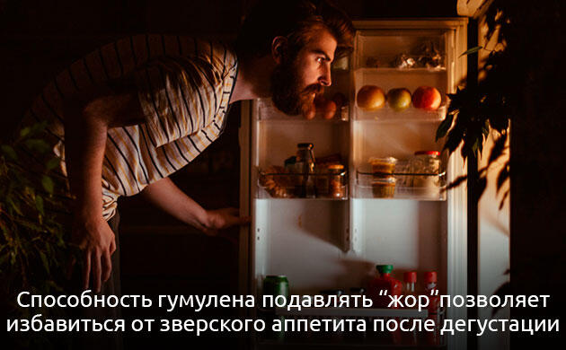 Гумулен в конопле