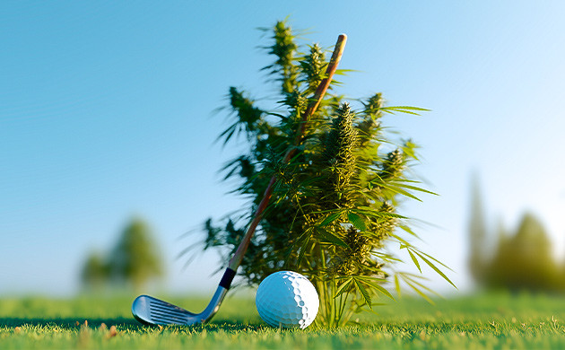 Медитативный гольф с каннабисом