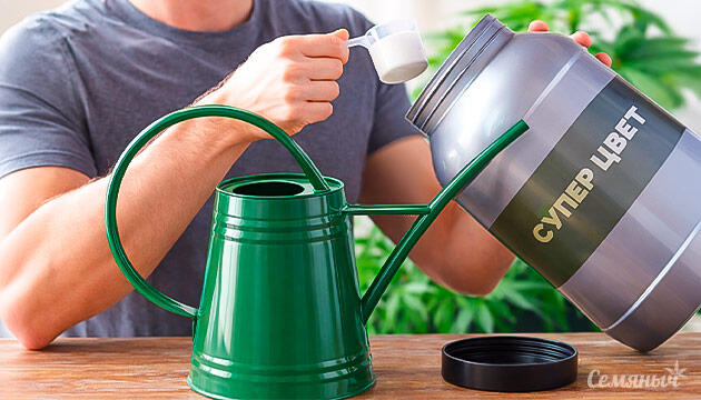 Эволюция выращивания каннабиса и новые подходы