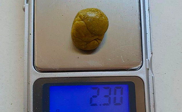 Живая смола: максимизация выхода и усиление аромата