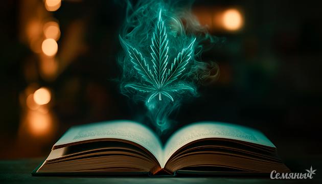 Чтение после употребления каннабиса